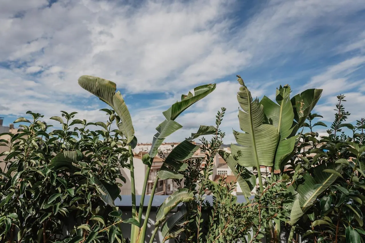 Petit Luxe Volta Atic Apartment Terrassa